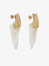 Load image into Gallery viewer, Angry Intellectuals Earrings