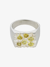 Load image into Gallery viewer, The grand rose garden signet ring, silver and yellow