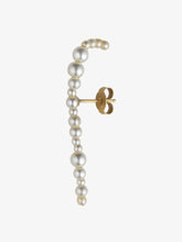Load image into Gallery viewer, Dream of a Butterfly Earring
