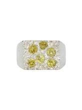 Load image into Gallery viewer, The grand rose garden signet ring, silver and yellow
