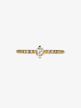 Load image into Gallery viewer, 1TVQG79TfGDfEMqlC70HGcgTgqf4zlmlz:24:pack:women
