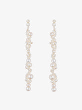 Load image into Gallery viewer, Running for the Hills Earrings
