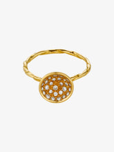 Load image into Gallery viewer, Diatom ring
