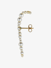Load image into Gallery viewer, Dream of a Butterfly Earring
