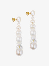 Load image into Gallery viewer, What's wrong with redistribution earrings
