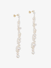 Load image into Gallery viewer, Running for the Hills Earrings
